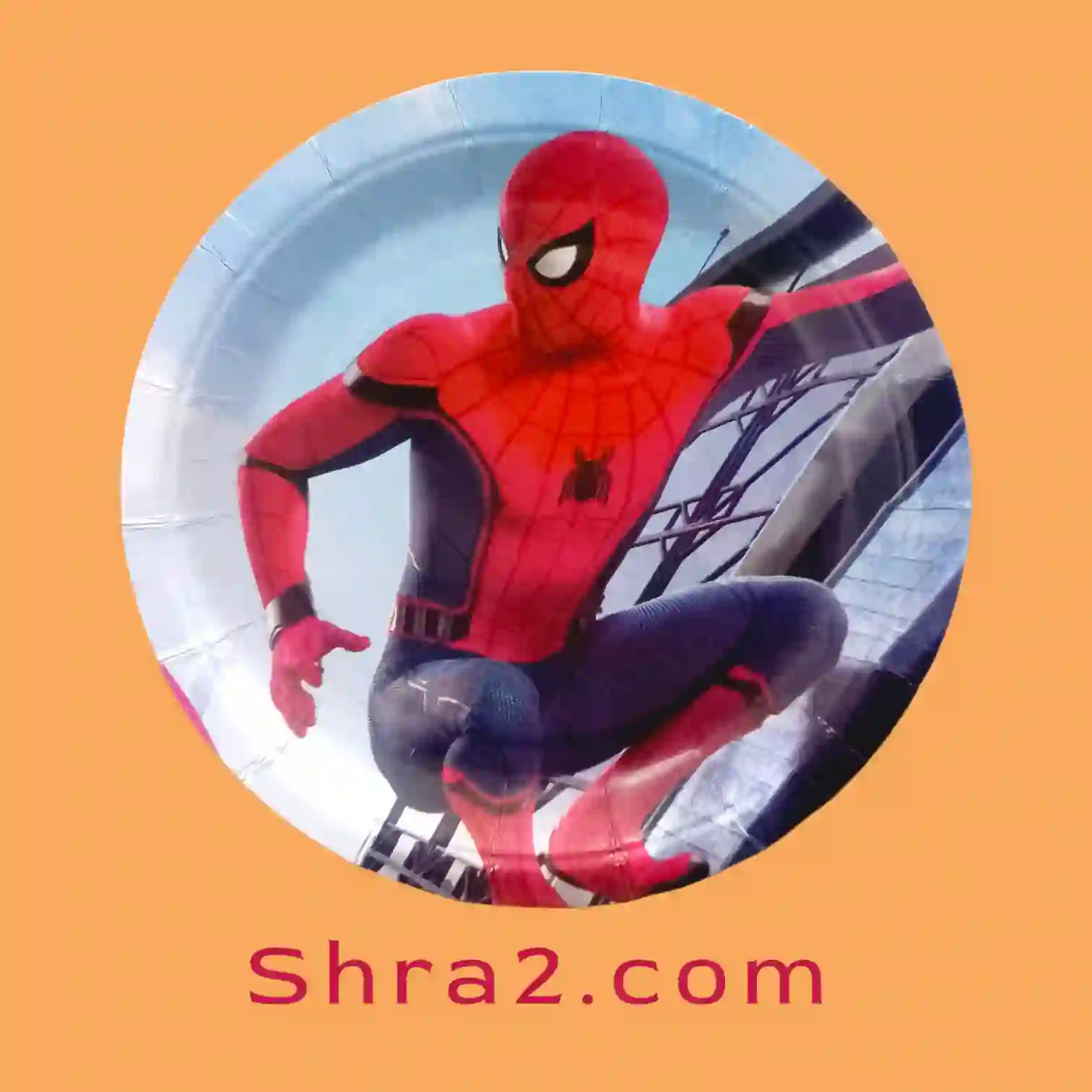 اطباق شكل اسبايدر مان 10 قطع دائرية